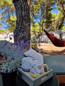 Mobile home Chakula at Kozarica camp