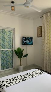 Alum Luxury Studio 2