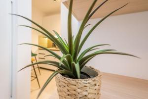 LuxStay Apartments APT2 - Private Parking