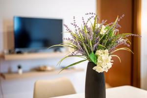 Appartamento San Gregorio