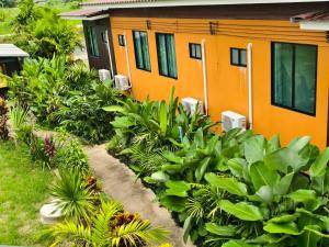 World Peace Yoga and Wellness Resort