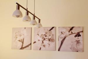 Cozy Apartment in City Center Epicenter!