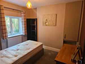 Tastefully decorated modern home