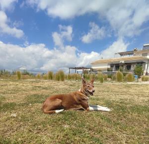 New Leaf Cortijo Apartment ,Moclin