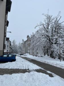 Apartman Veličković