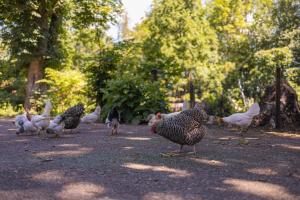 De Cabin van Groenland