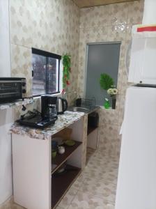 Miraflores 1- The greenhouse