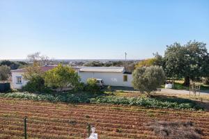 Casa das Amendoeiras