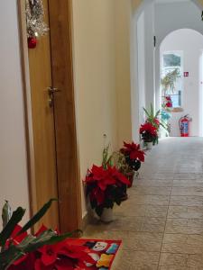 Стаи за гости - Цветето на Ангела