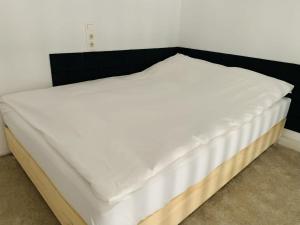 Central Cozy Apartment