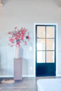 Cozy apartment with stunning view over the fields