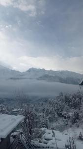 Hills Heaven Homestay