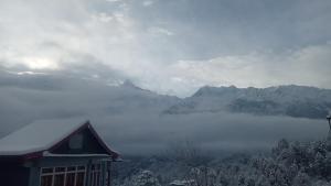 Hills Heaven Homestay