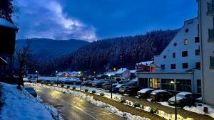 Sobe za izdavanje Nedeljković