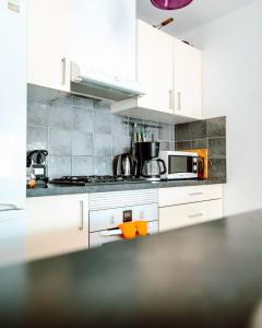 Le jardin des vignes