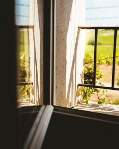 Le jardin des vignes