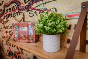 Explorer, Proche Basel, Voyage, Style & Confort