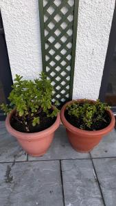 Beautiful Highland Sanctuary