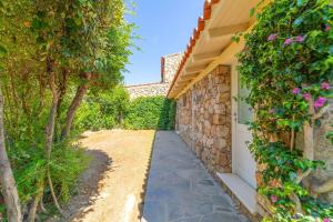 Villa Alfa - By Searly img42