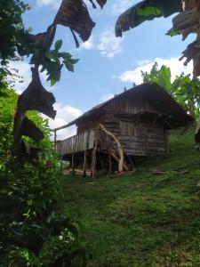 Ecocabaña Con Maloca cerca a Pijao Quindío