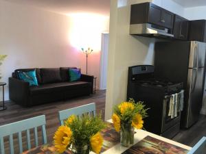 Modern 1 Bedroom Hollywood Apartment Near Larchmont Village Walk of Fame and Studios