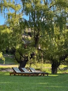 Cabaña El Molle - Los Nogales