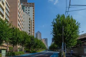 ISSHUKU Noma 北新宿I -203 Triple Room