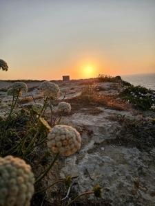 Soulnest Peace bedroom in shared flat
