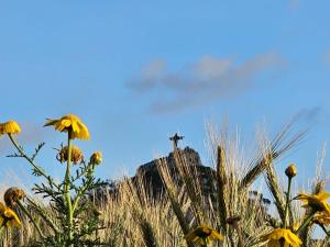 Soulnest Peace bedroom in shared flat