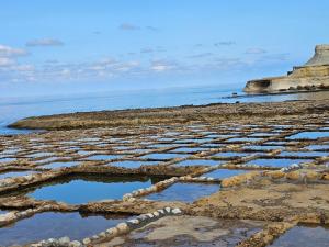 Soulnest Peace bedroom in shared flat