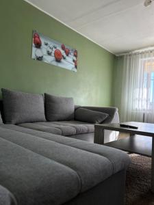 ROŽĖS BUTAS Apartment