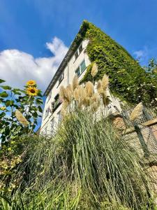Am Weinberg Kassel Gästezimmer