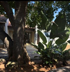 Max Legacy Flora Park