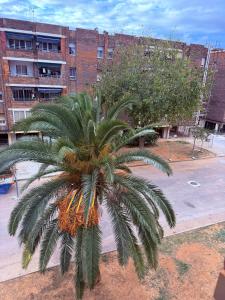 Habitaciones ROOMS en Port Sagunto