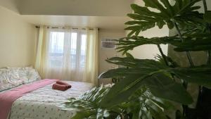 B4B Staycation Avida aspira tower 2