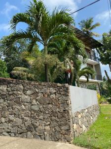 The Paddy View Villa