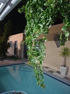 Zufike Self Catering