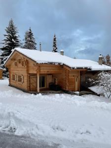 Beautiful Old style 8 -12 person Chalet with a modern extension