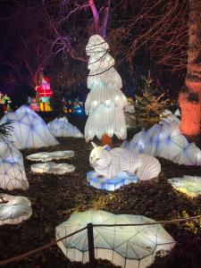 Suite Romantique "Comme à Venise" Metz-Opéra 4 étoiles