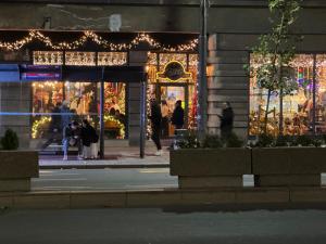 Panajota Apartment in city centre