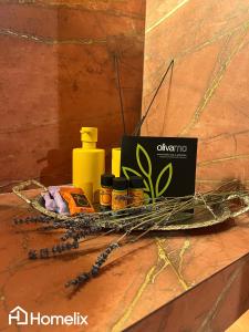 Santa Clara - the revolution of living