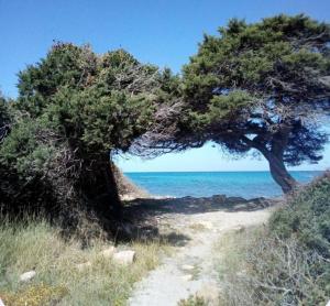 Casa Saba Lupino img21