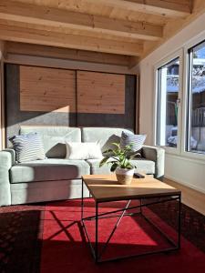 Cute House with terrace and garden