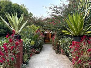 Lokosha Resort - The Green Destination
