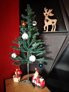 Certo Apartment -vibrant and modern retreat