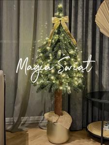 Apartamenty Pod Dębowcem Premium Jungle