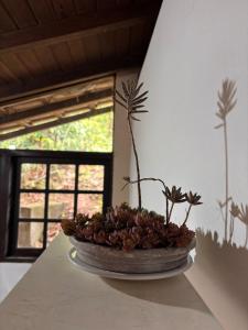 Chalé vista para o mar - refúgio na natureza