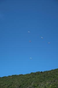 Les Reflets de Meuse