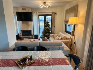 Villa Harry Arachova