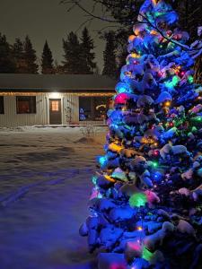 Arctic villa near Santa Park